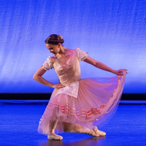 WhatsApp Image 2024-08-27 at 12.37.03